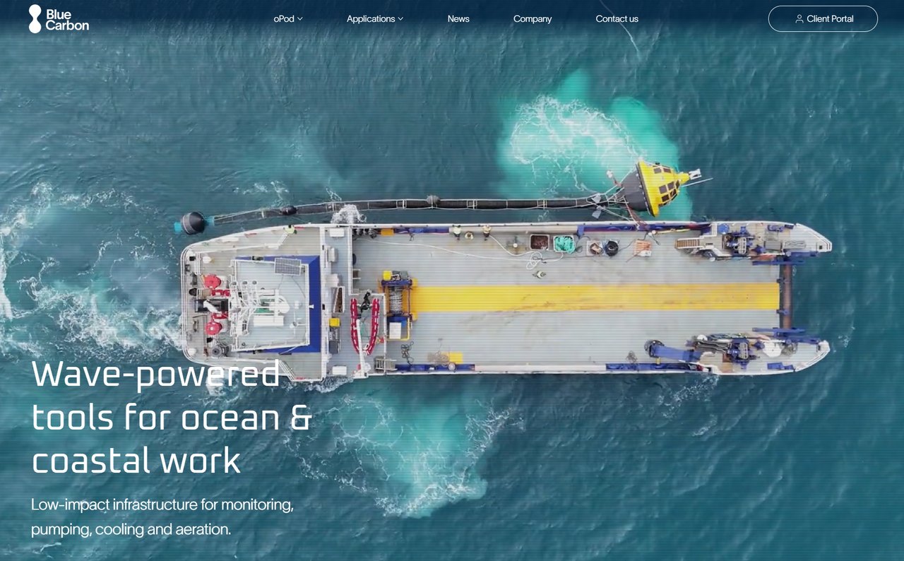 Blue Carbon website